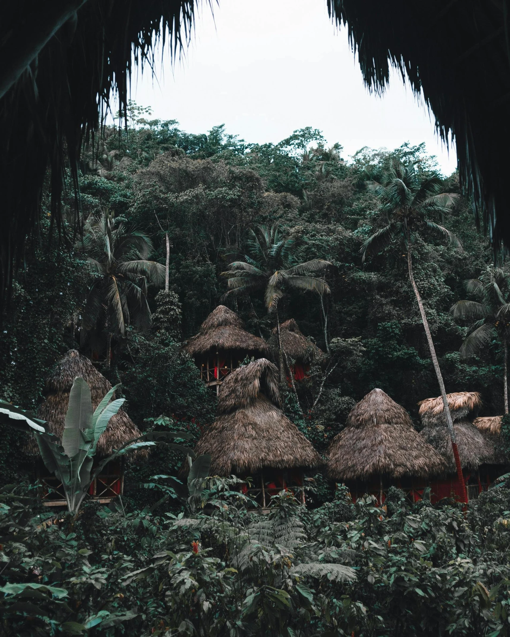 a group of huts sitting on top of a lush green forest, trending on vsco, chest covered with palm leaves, crimson themed, colombian