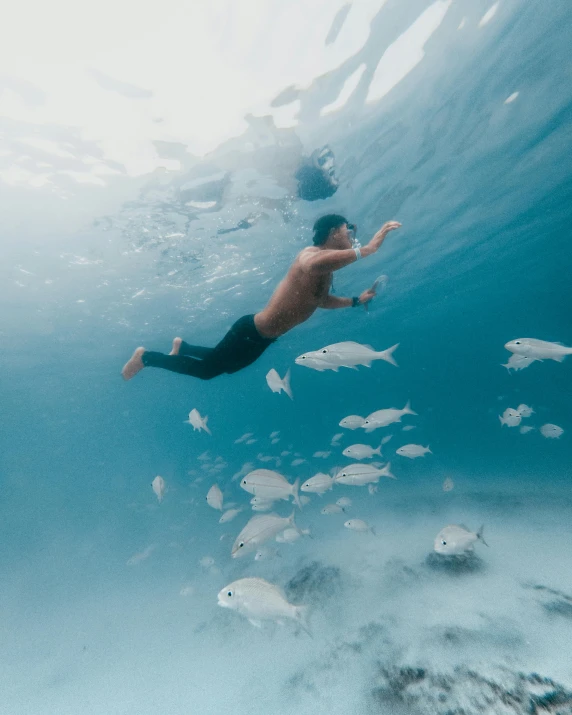 a man swimming in the ocean surrounded by fish, unsplash contest winner, 🚀🌈🤩, sydney hanson, sam leach, ariel perez