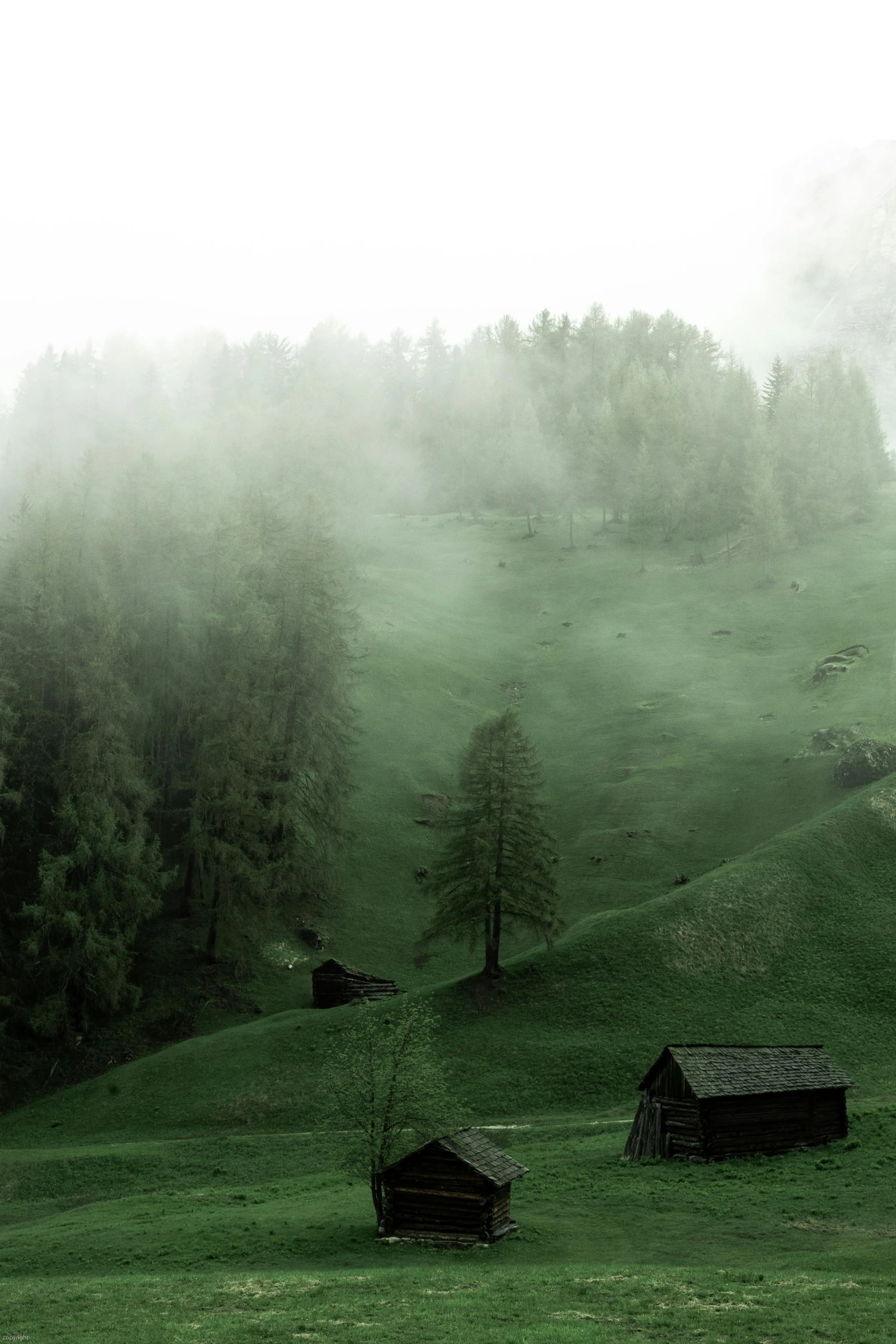 a herd of sheep grazing on top of a lush green hillside, a matte painting, inspired by Franz Sedlacek, pexels contest winner, misty ghost town, log cabin beneath the alps, muted green, moist foggy