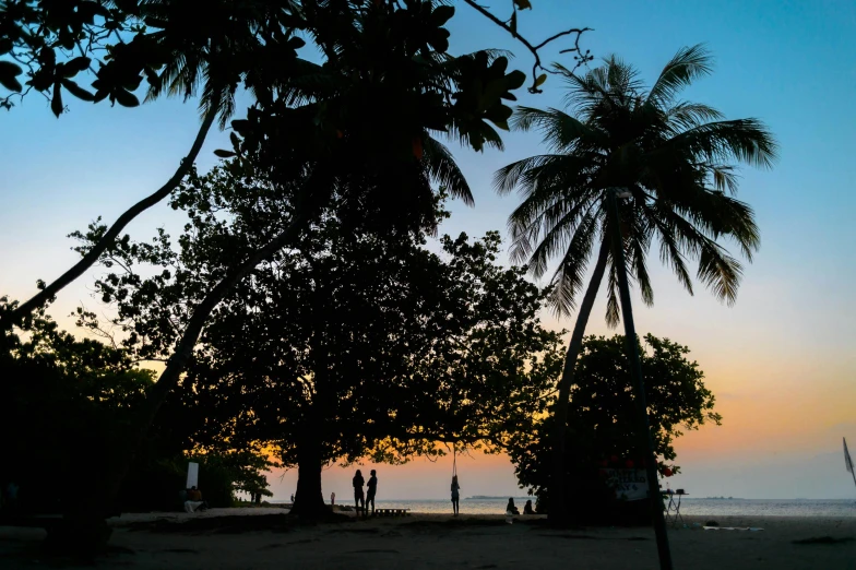 a group of people standing on top of a sandy beach, a palm tree, at the sunset