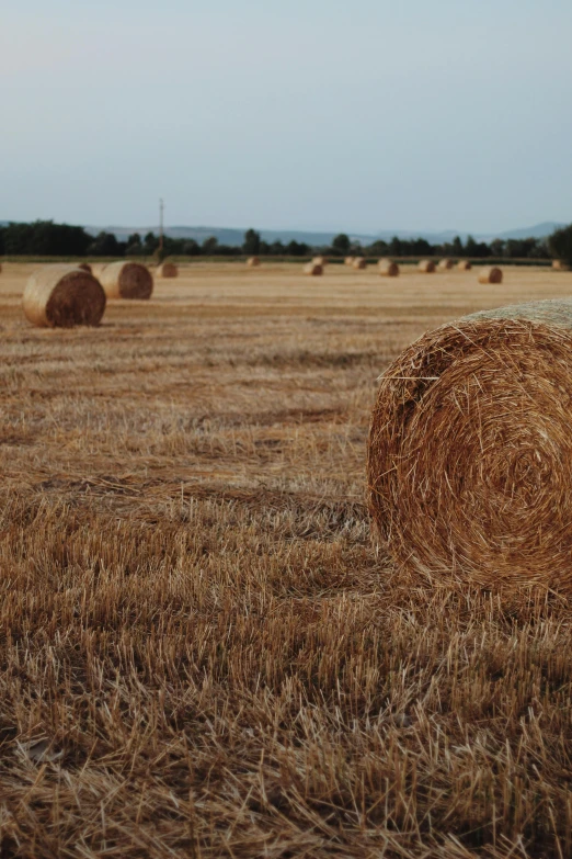 a bunch of hay sitting on top of a dry grass field, in the middle of a field, from the distance, round-cropped, college