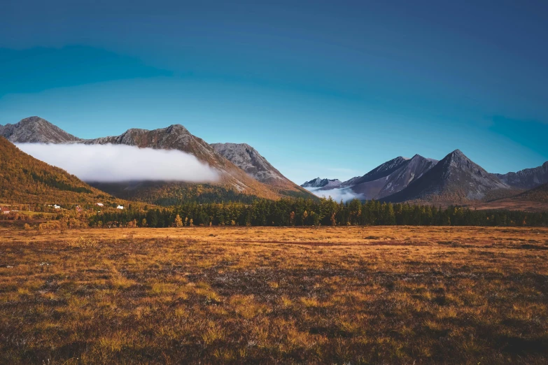 a grassy field with mountains in the background, by Andrei Kolkoutine, unsplash contest winner, boreal forest, autumn, extremely clear and coherent, desolate arctic landscape