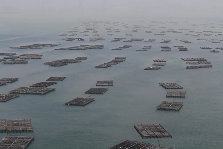 a large body of water filled with lots of fish, an album cover, inspired by Zhang Kechun, pexels, shipping docks, foggy photo 8 k, farms, cages