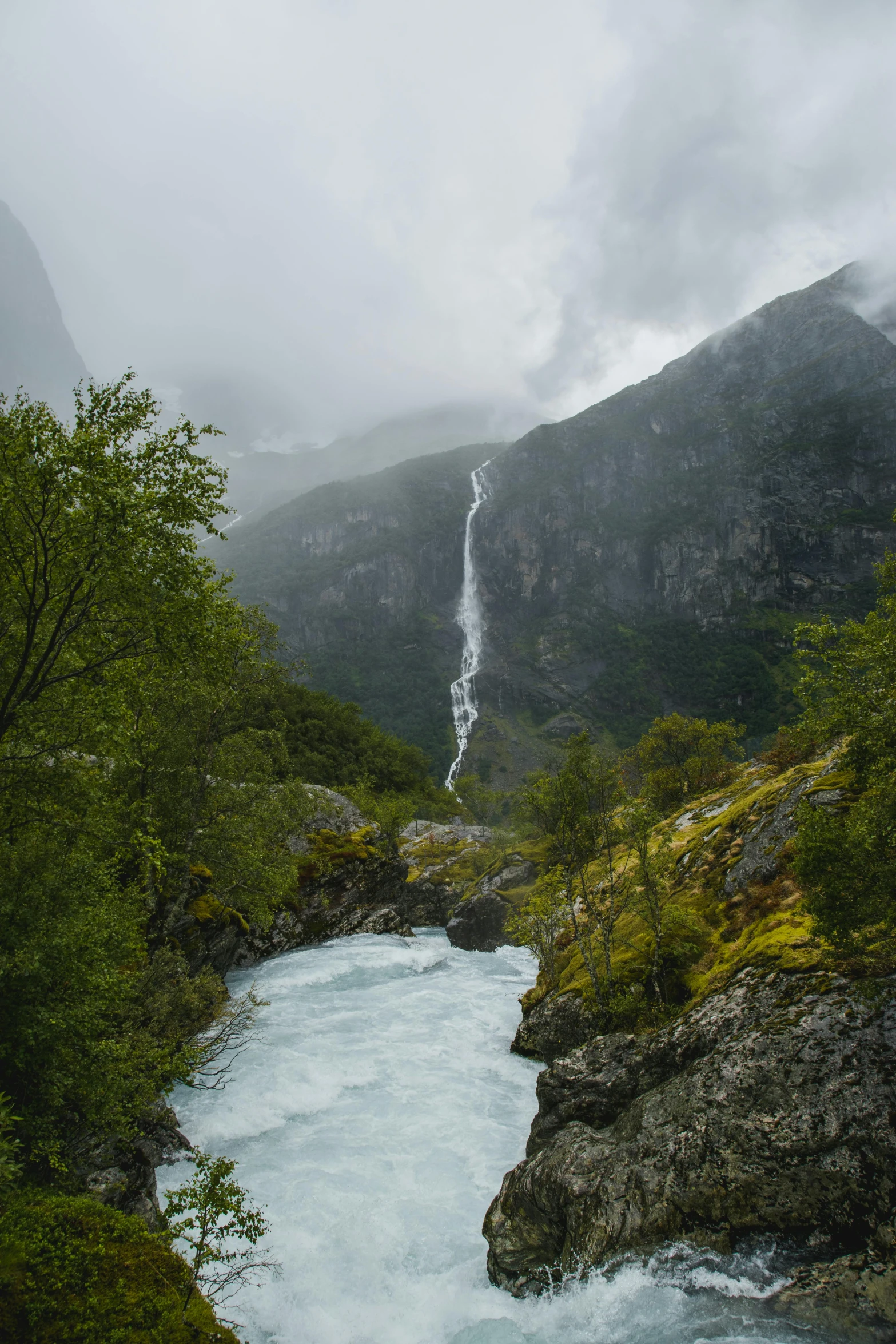 a river running through a lush green forest, inspired by Johan Christian Dahl, unsplash contest winner, hurufiyya, icy glaciers, waterfall walls, low clouds after rain, tall thin