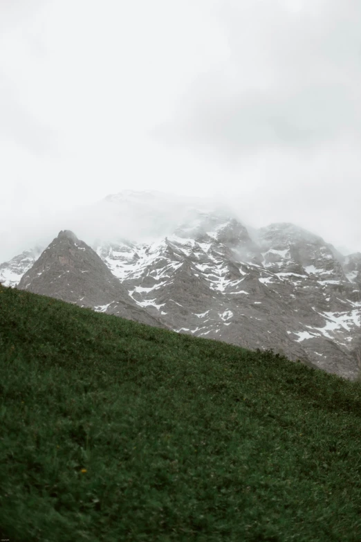 a horse standing on top of a lush green hillside, an album cover, by Jacob Toorenvliet, trending on unsplash, snowy mountain, overcast gray skies, seen from a distance, shrouded in mist