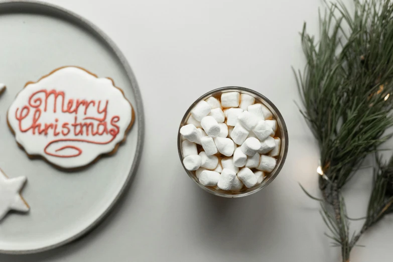 a white plate topped with marshmallows next to a cup of hot chocolate, inspired by Ernest William Christmas, graffiti, detailed product image, detail shot, cookies, merry