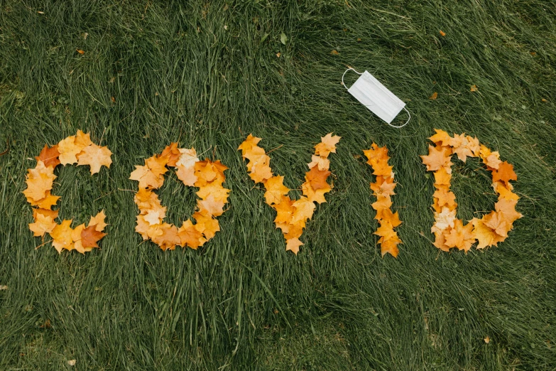 the word covid written in autumn leaves, by Matt Cavotta, lawns, jovana rikalo, photo for a magazine, contest