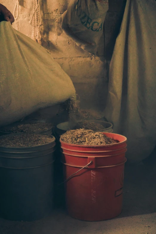 a couple of buckets sitting next to each other, by Elsa Bleda, renaissance, inside a barn, nitrogen-rich soil, color footage, stacked image