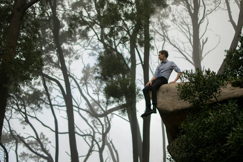 a man sitting on a rock in the middle of a forest, an album cover, inspired by Caspar David Friedrich, unsplash, australian tonalism, fog mads berg, eucalyptus trees, low - angle shot, sydney park