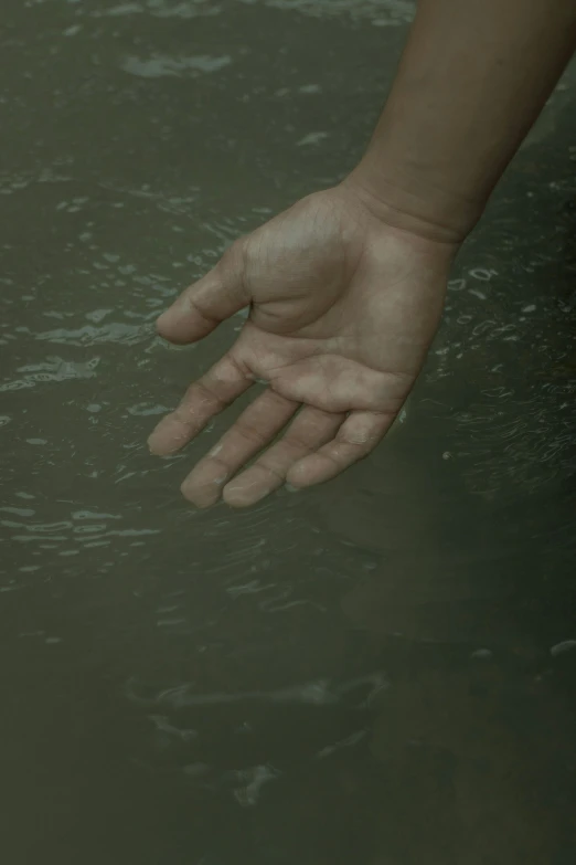 a person reaching for something in the water, inspired by Elsa Bleda, renaissance, promo image, concerned, holding hand, ignant