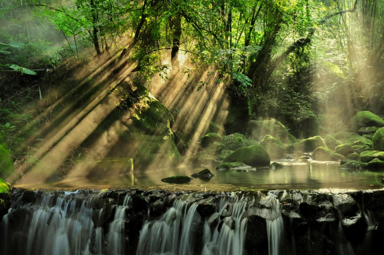 a stream running through a lush green forest, by Mirko Rački, pexels contest winner, light beams with dust, several waterfalls, summer morning light, river flowing through a wall