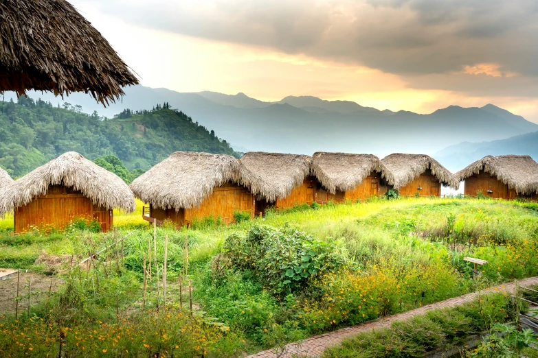 a group of huts sitting on top of a lush green field, by Dan Content, trending on unsplash, nepali architecture buildings, avatar image