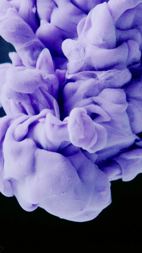 a close up of a purple flower on a black background, a microscopic photo, inspired by Lynda Benglis, made of cotton candy, bao pnan, taken in the early 2020s, modelling clay