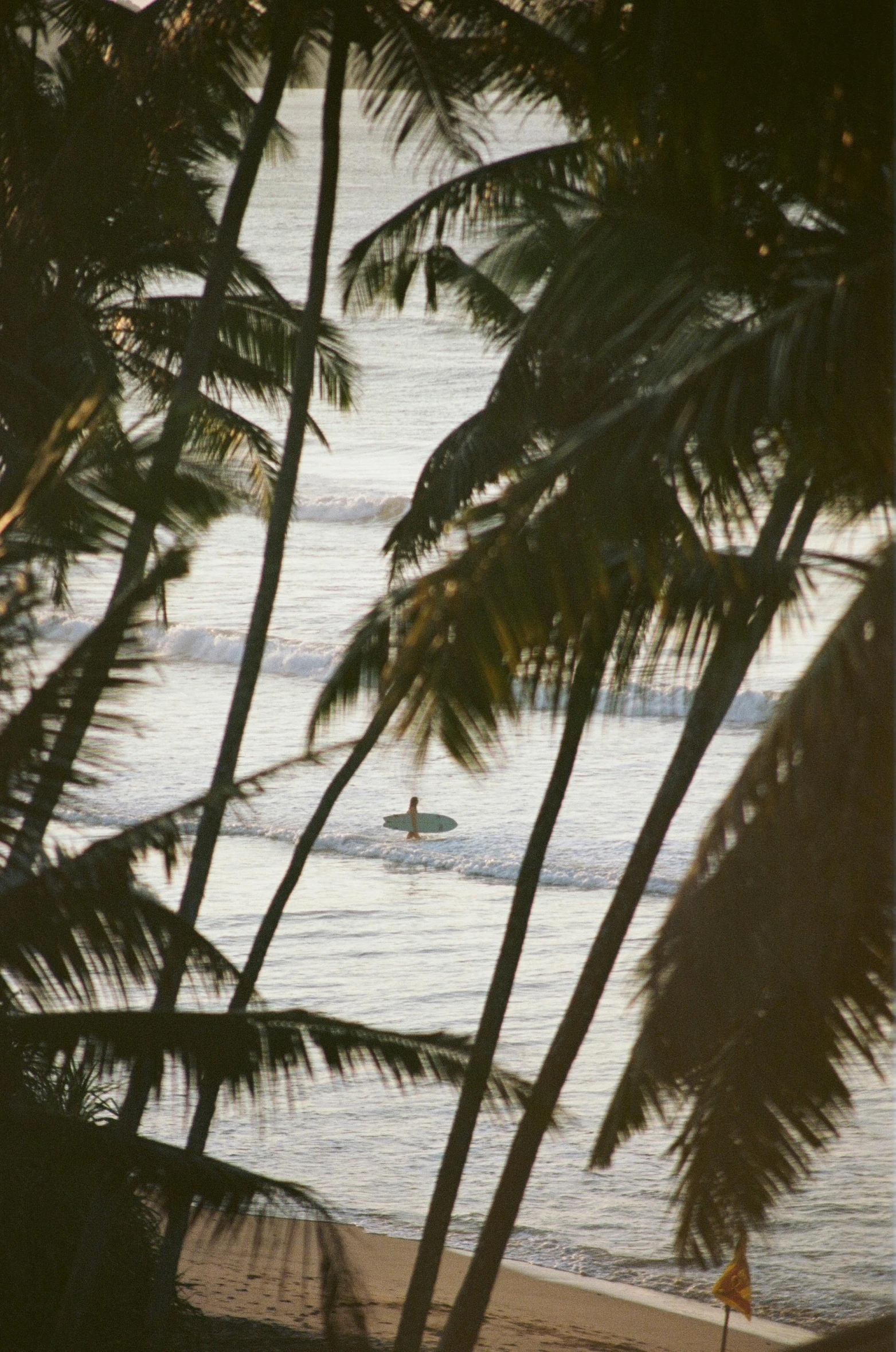 a man riding a surfboard on top of a sandy beach, coconut trees, grainy photograph, david hamilton, as seen from the canopy