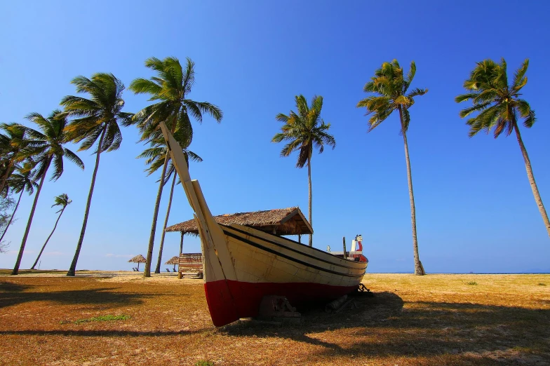 a boat sitting on top of a dry grass field, pexels contest winner, hurufiyya, coconut palms, avatar image, clear blue skies, thumbnail