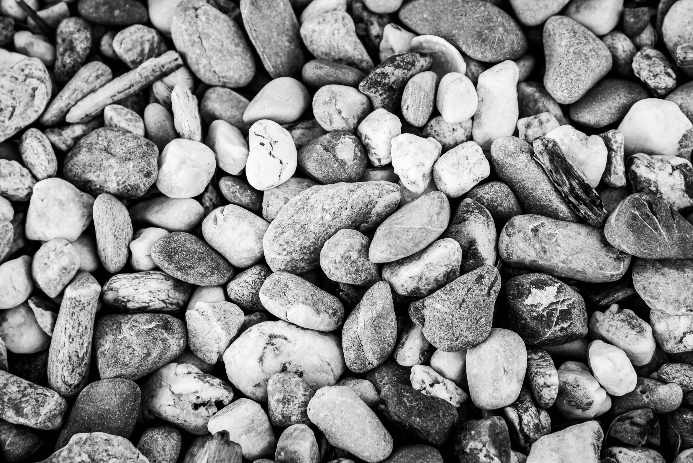 a black and white photo of rocks and gravel, a black and white photo, pexels, rounded, beans, black! and white colors, illustration