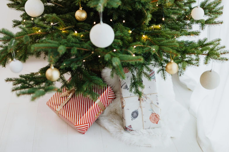 a christmas tree with presents underneath it, pexels, arts and crafts movement, two, middle close up, graphic print, plain