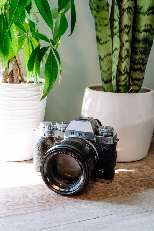 a camera sitting on a table next to a potted plant, a picture, pexels contest winner, fujifilm x - h 2 s, macro lens product photo, bright daylight indoor photo, medium format. soft light