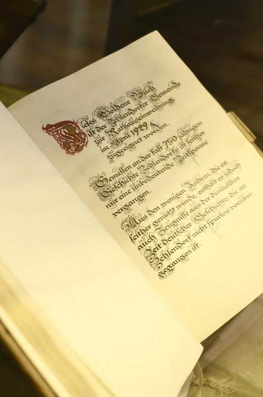 an open book sitting on top of a table, inspired by Aldus Manutius, private press, signatures, manufactured in the 1920s, blood letter, displayed in the exhibition hall