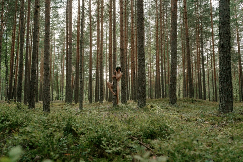 a man standing in the middle of a forest, an album cover, by Jaakko Mattila, unsplash, naturalism, frank dillane as a satyr, ignant, dance, pine forests