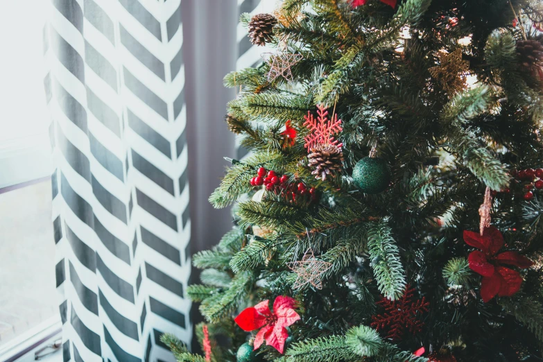 a decorated christmas tree in front of a window, pexels, arts and crafts movement, green and red, zoomed out shot, black fir, cosy