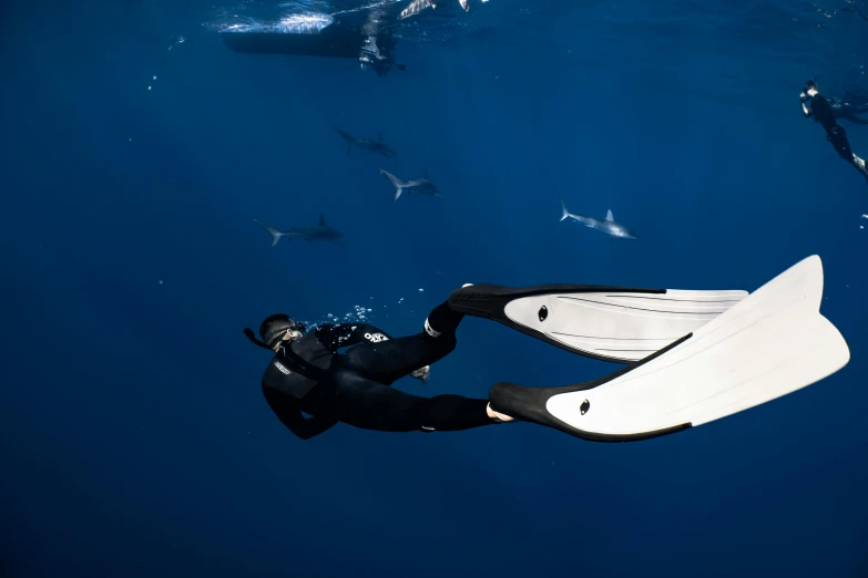 a person in a wet suit is swimming with a shark, by Daniel Lieske, happening, long flowing fins, ultrawide, sea butterflies, profile image