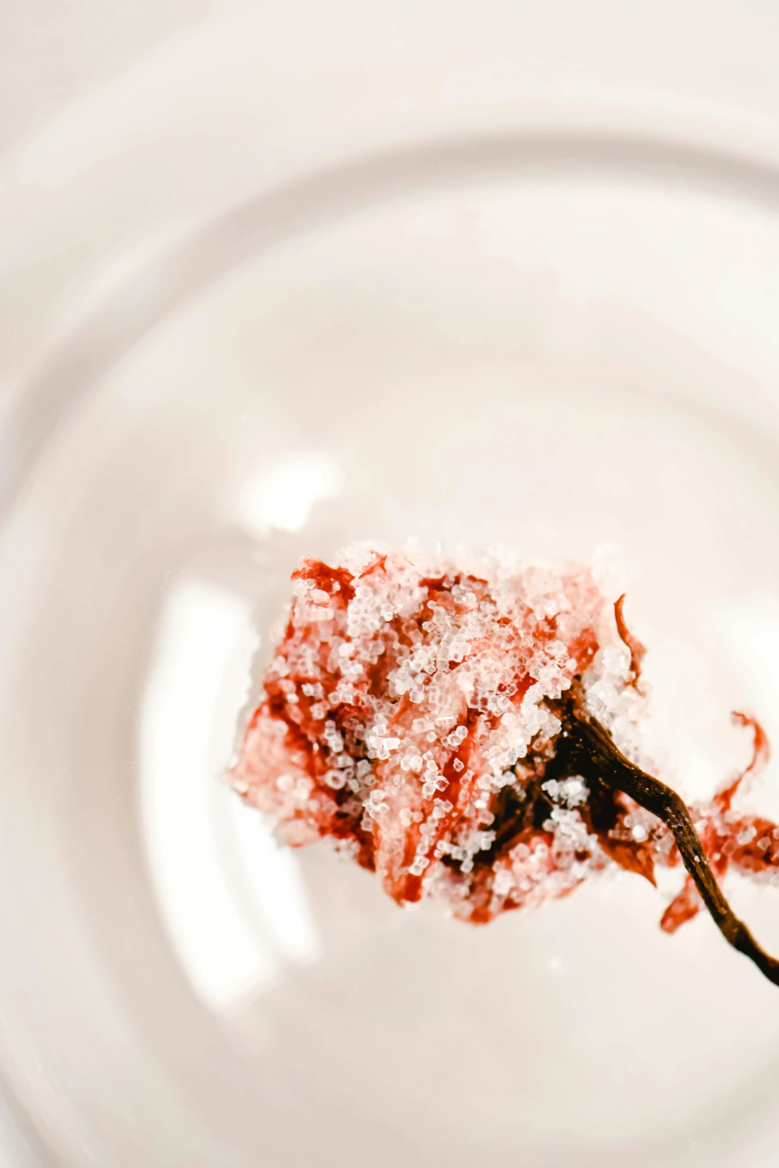 a piece of cake sitting on top of a white plate, inspired by Julian Schnabel, unsplash, process art, close up of single sugar crystal, pale red, fungus, high quality photo