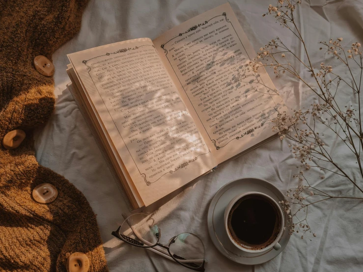 an open book sitting on top of a bed next to a cup of coffee, by Carey Morris, pexels contest winner, romanticism, brown clothes, fairy aesthetics, thumbnail, multiple stories