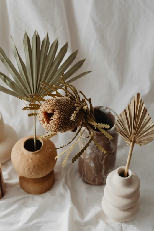 a number of vases with plants in them, a still life, by Jessie Algie, trending on unsplash, dried palmtrees, made of silk paper, brown flowers, studio photo