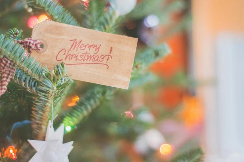 a close up of a christmas tree with a sign on it, by Emma Andijewska, pexels, avatar image, brown, tag, paper