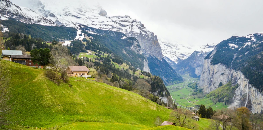 a herd of sheep grazing on a lush green hillside, by Daniel Seghers, pexels contest winner, alpine landscape with a cottage, geiger, snow capped mountains, slide show