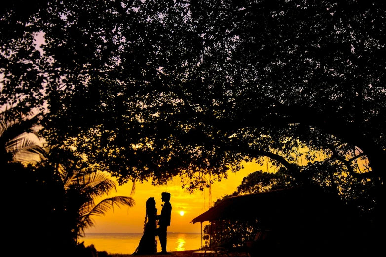 a couple standing next to each other under a tree, by Peter Churcher, pexels contest winner, golden hour in boracay, thumbnail, 1 6 x 1 6, black silhouette