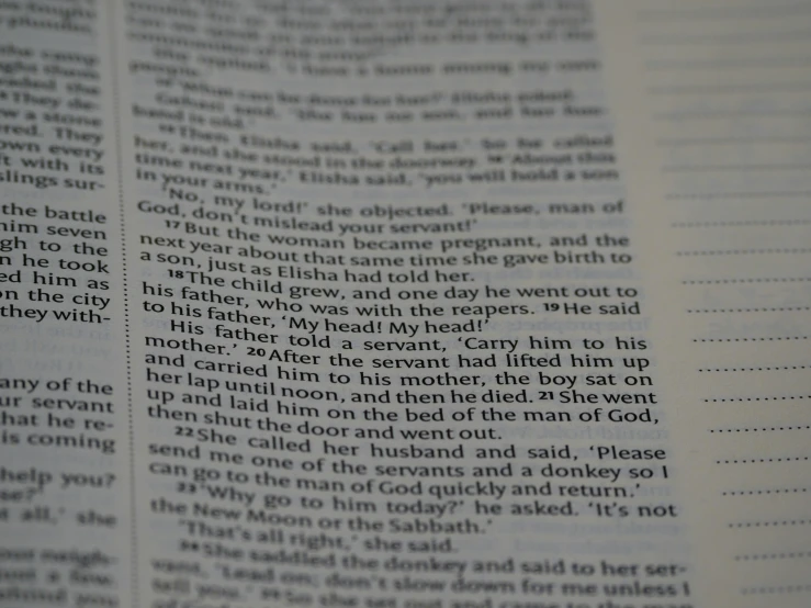 a close up of a page of a book, happening, scene from church, readable, biblically accurate, high light on the left