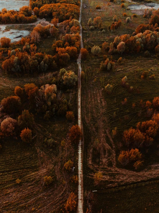 an aerial view of a road in the middle of a field, by Filip Hodas, unsplash contest winner, in the autumn forest, hill with trees, bridge, low quality photo