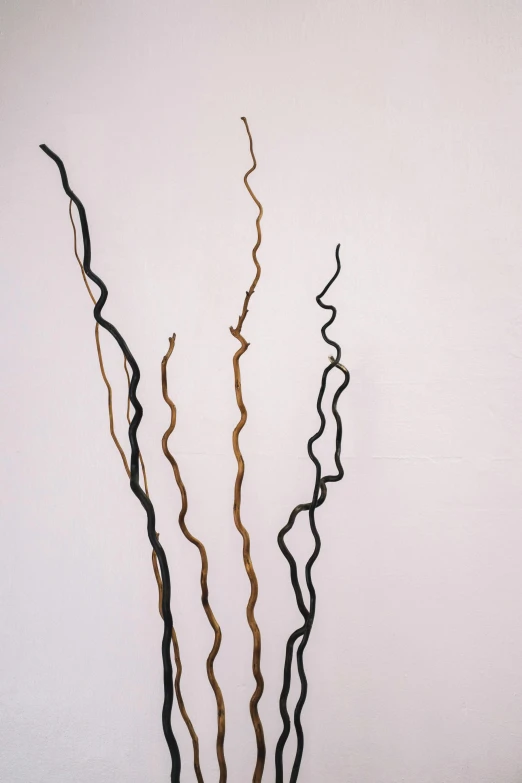 a vase that has some kind of plant in it, an abstract sculpture, inspired by Lucio Fontana, trending on unsplash, long vines, black and brown colors, made of spaghetti, 155 cm tall