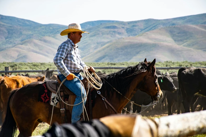 a man riding on the back of a brown horse, both men and cattle, background image, scott radke, multiple stories