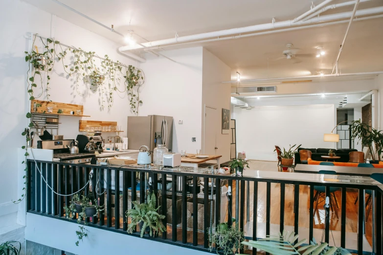 a living room filled with furniture and lots of plants, a photo, by Carey Morris, unsplash, light and space, kitchenette and conferenceroom, interior of a loft, white wall coloured workshop, kitchen counter