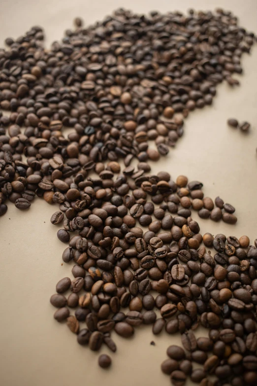 a map made out of coffee beans, by Matt Cavotta, trending on unsplash, 15081959 21121991 01012000 4k, high angle close up shot, thumbnail, nepal