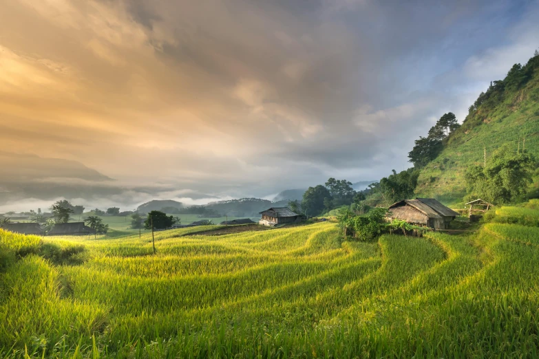 a rice field with houses and mountains in the background, by Patrick Ching, unsplash contest winner, in gentle green dawn light, avatar image, staggered terraces, patiphan sottiwilaiphong