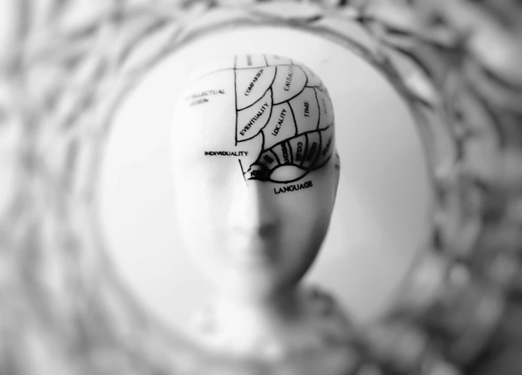 a black and white photo of a head with a map on it, by Adam Marczyński, pexels, figurativism, miniature human brain, porcelain, nervous system, food head