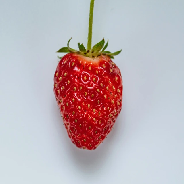 a close up of a strawberry on a white surface, a picture, by Adam Marczyński, unsplash, color image, various posed, low detailed, four legged