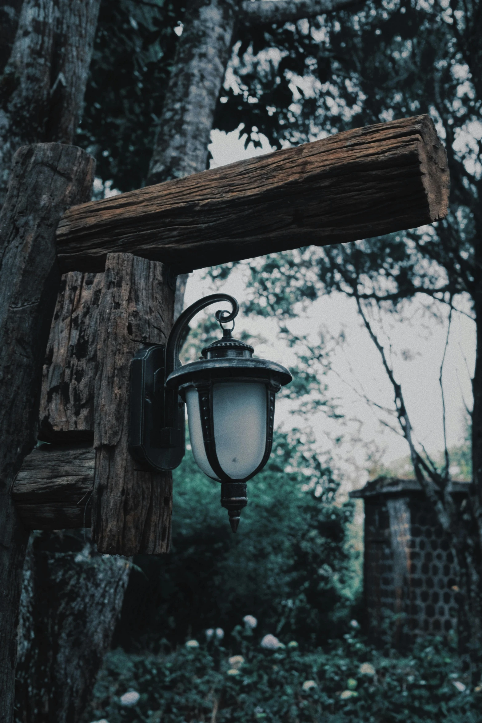 a light hanging off the side of a wooden pole, pexels contest winner, creepy ambiance, lush surroundings, lantern light besides, desaturated