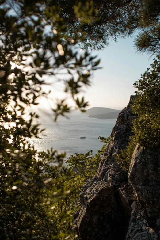 a man standing on top of a cliff next to the ocean, by Tobias Stimmer, olive trees, sun rises between two mountains, croatian coastline, built into trees and stone