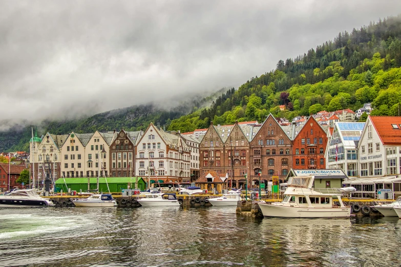 a group of boats floating on top of a body of water, a photo, inspired by Nikolai Astrup, pexels contest winner, renaissance, waterfront houses, mix with rivendell architecture, under a gray foggy sky, green waters