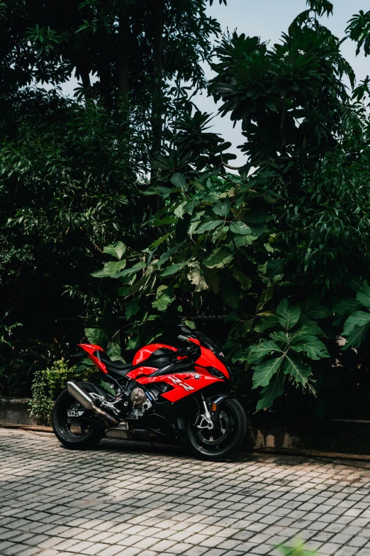 a red motorcycle parked on the side of a road, pexels contest winner, plants and jungle, bmw, sitting under a tree, gif