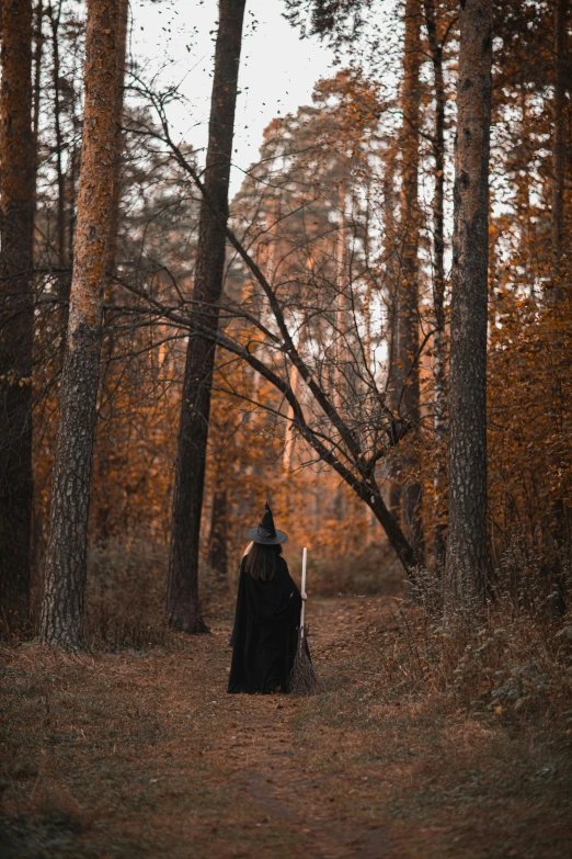 a person standing in the middle of a forest, black witch hat and broomstick, brown, walking away, black