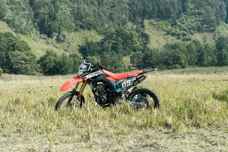 a dirt bike is parked in a field, inspired by Alex Petruk APe, red turquoise accents, indonesia, profile image, fan favorite