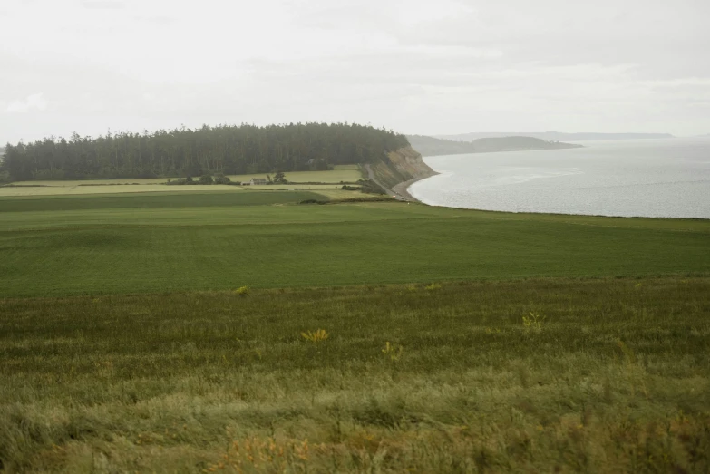 a man flying a kite on top of a lush green field, inspired by Thomas Struth, unsplash, les nabis, view of sea, washington, stephen shore, ignant