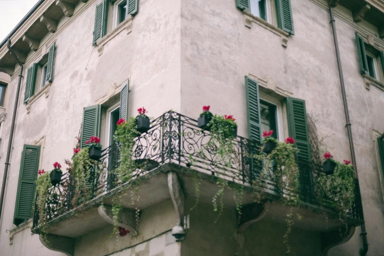 a balcony with red flowers and green shutters, pexels contest winner, renaissance, 1910s architecture, multiple stories, balcony scene, in muted colors