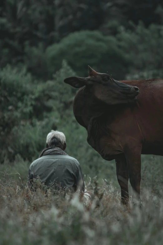 a brown cow standing next to a person in a field, a picture, unsplash contest winner, renaissance, older male, 8 k movie still, emotional, man sitting facing away